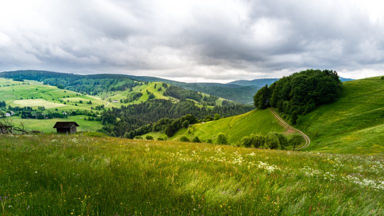 Mehr über den Artikel erfahren Gleich anmelden zum Jahresausflug 2022