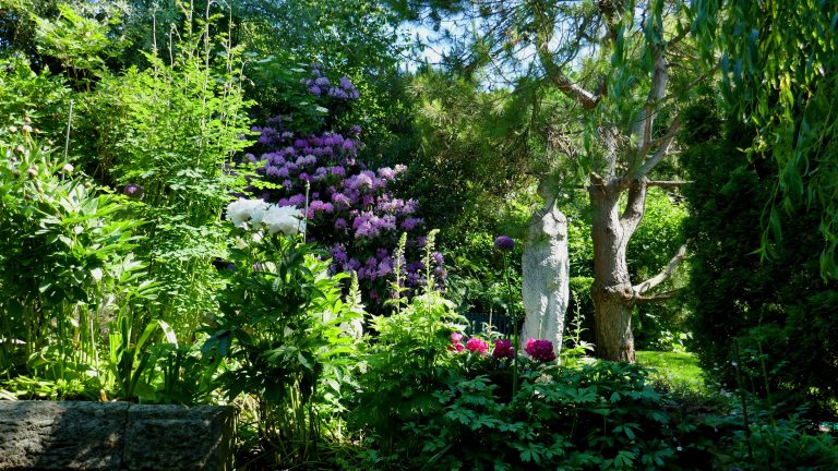 Mehr über den Artikel erfahren Tagesausflug zum Landschaftsgarten von Prof. Dr. Doschka