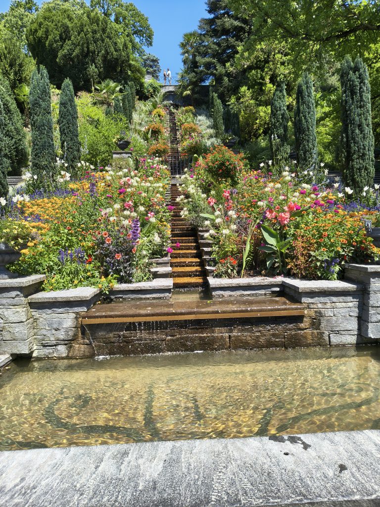 IMG_20260729_124741353_HDR