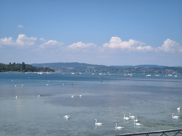 IMG_20260729_144649911_HDR